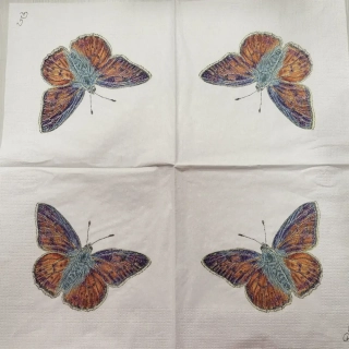 Motýl - celé balení