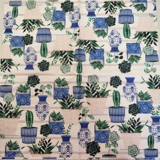 Kaktusy - celé balení