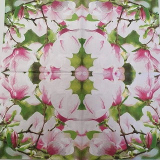 Magnolie
