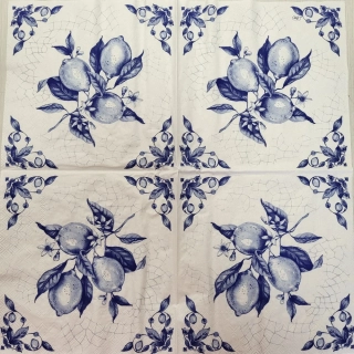 Citrony - celé balení