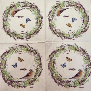 Ptáček - celé balení