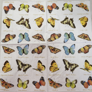 Motýlci - celé balení