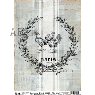 Paris - 829