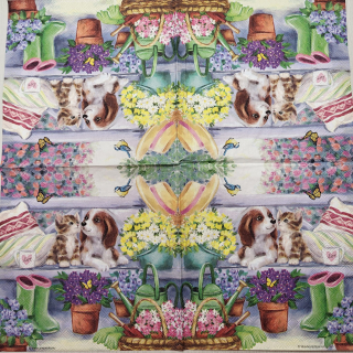 Pejsek a kočička - celé balení