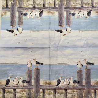 Moře - celé balení