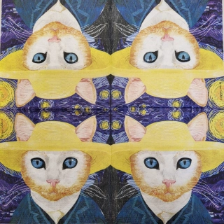 Vincent - celé balení