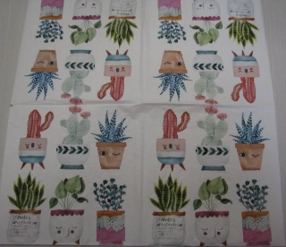 Pokojovky - celé balení