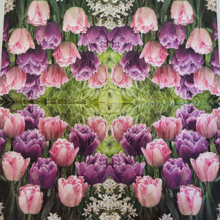 Tulipány