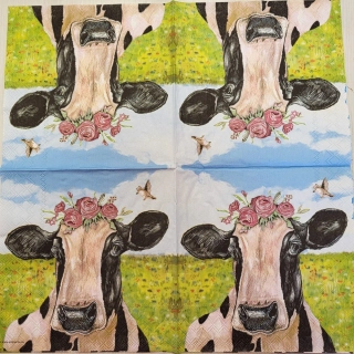 Kráva - celé balení