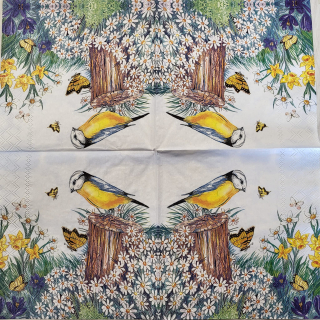 Ptáček - celé balení