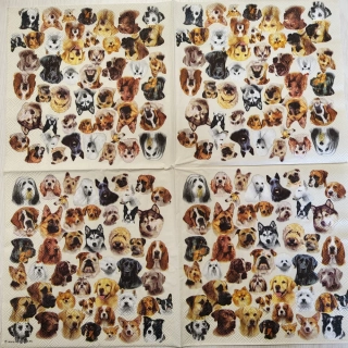 Pejsci - celé balení