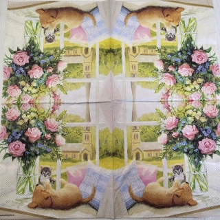 Štěně a kotě - celé balení