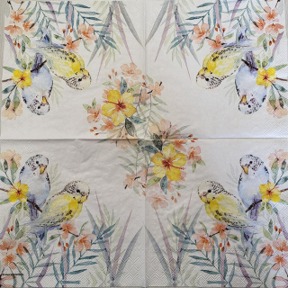 Andulky - celé balení