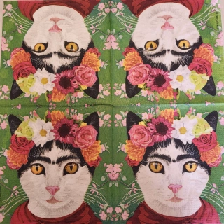 Frida - celé balení