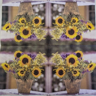 Slunečnice - celé balení