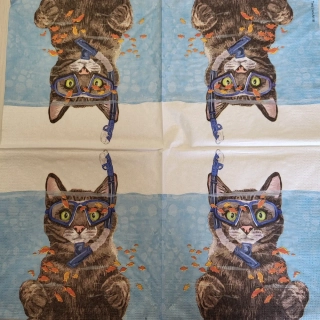 Potapěč - celé balení 