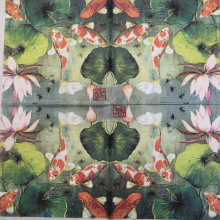 Koi kapr - celé balení