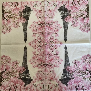 Paříž - celé balení